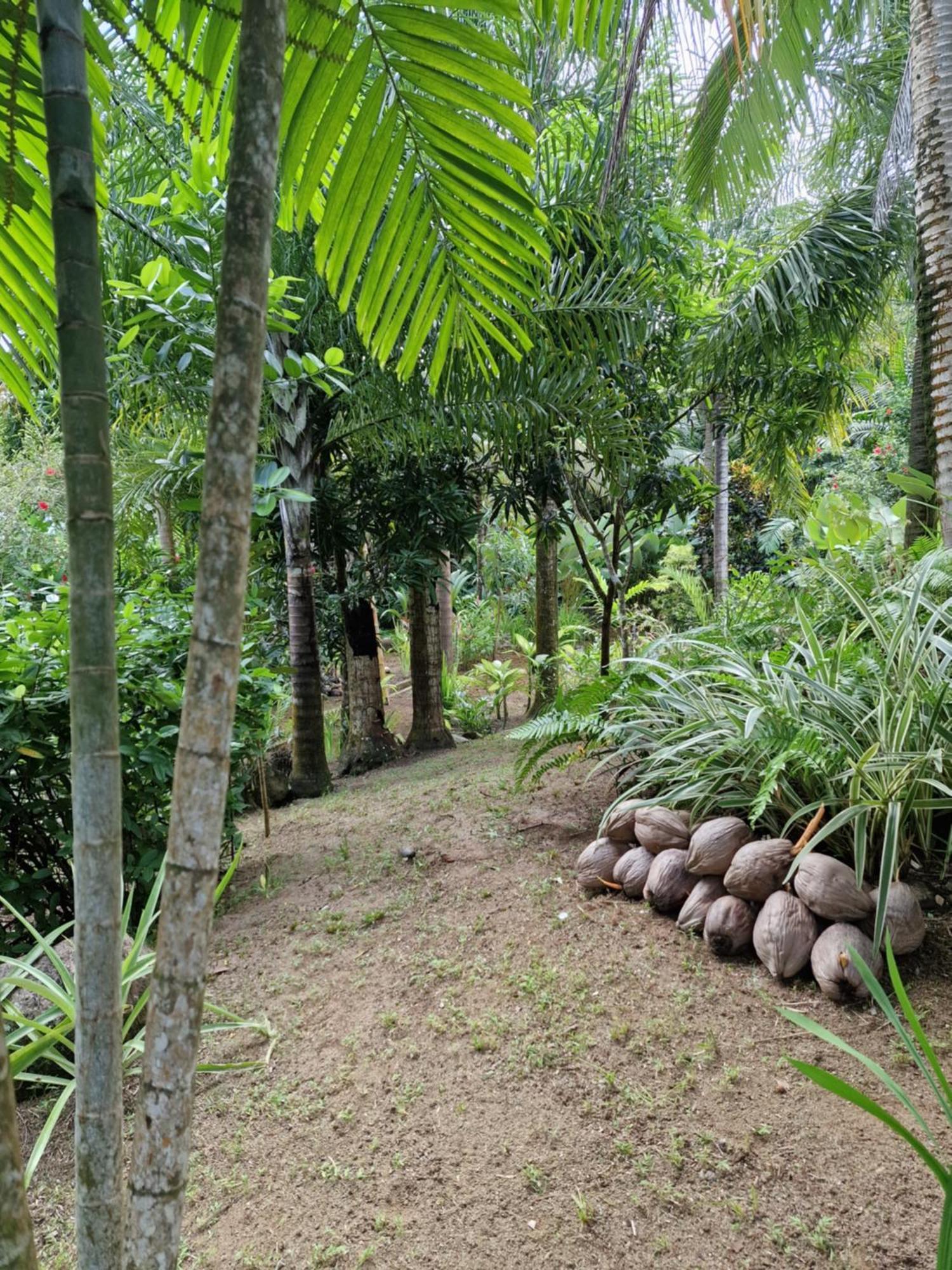 A Peace In Paradise Anse Royale Exterior photo